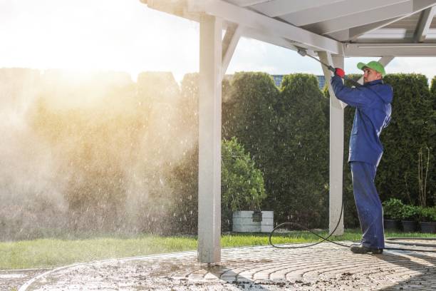 Animal Enclosure Cleaning in Powderly, TX