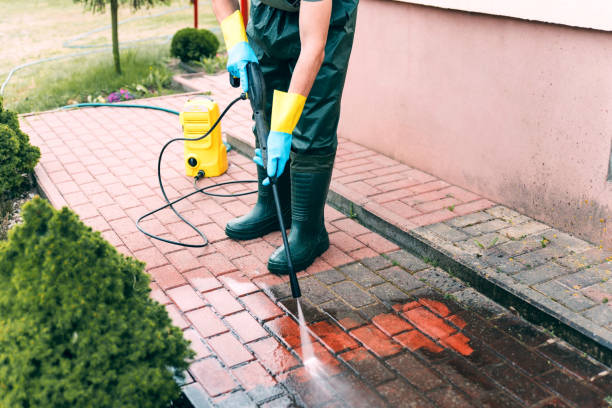 Trusted Powderly, TX  Pressure Washing Services Experts