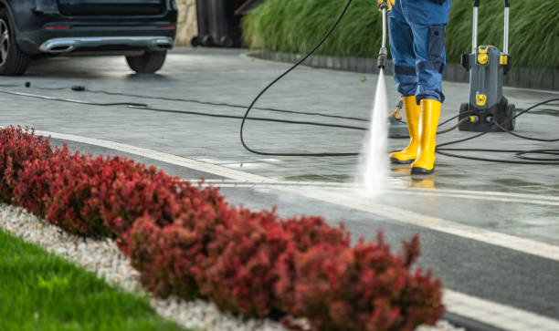  Powderly, TX Pressure Washing Pros